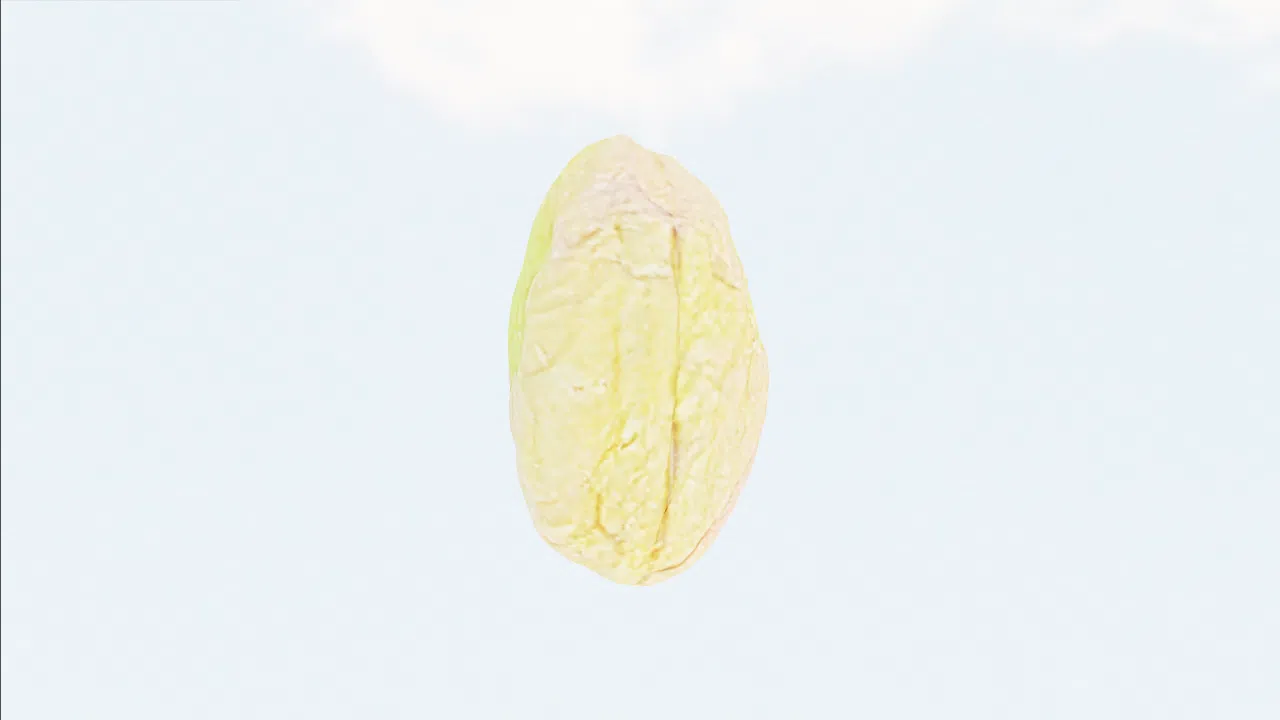 pistachio-bhirar photo