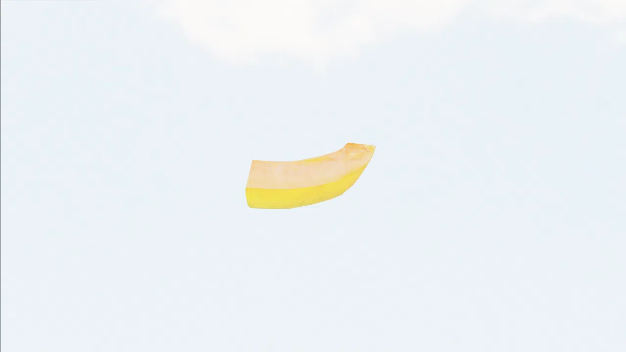 sliced_papaya-dqymro photo