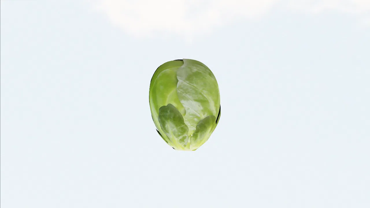 brussels_sprouts-hkwyzk photo
