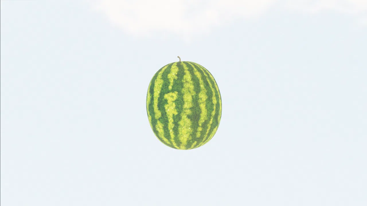 watermelon-hqbjke photo