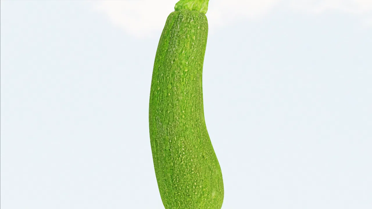 zucchini-ifvmal photo