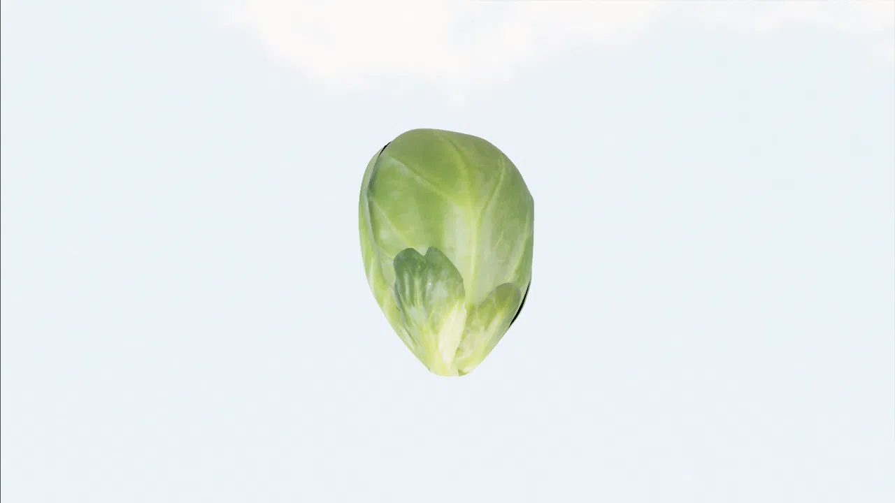 brussels_sprouts-mbkrxe photo