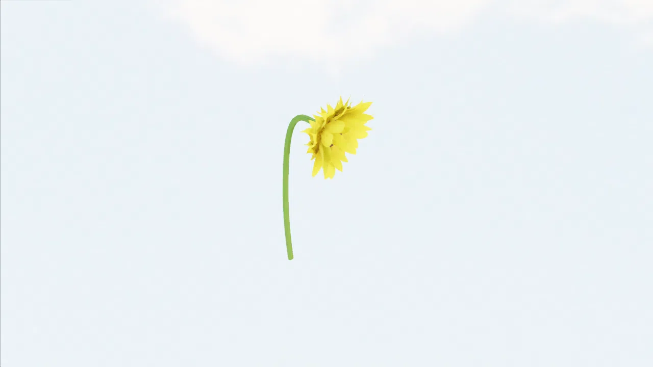 sunflower-npxkrn photo