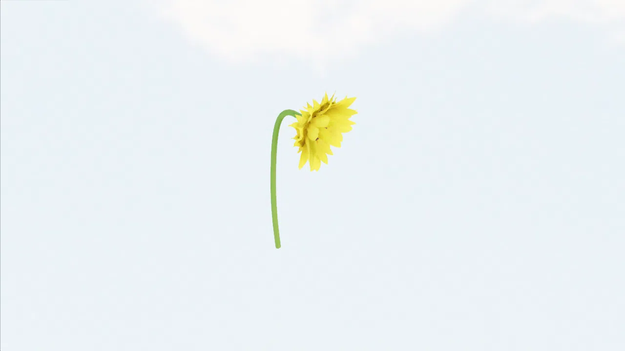 sunflower-oaglch photo
