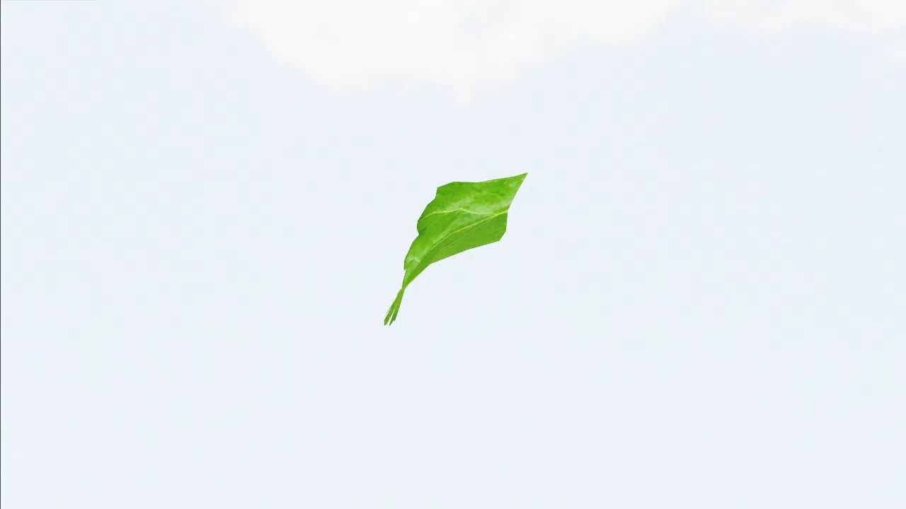 parsley-paksij photo