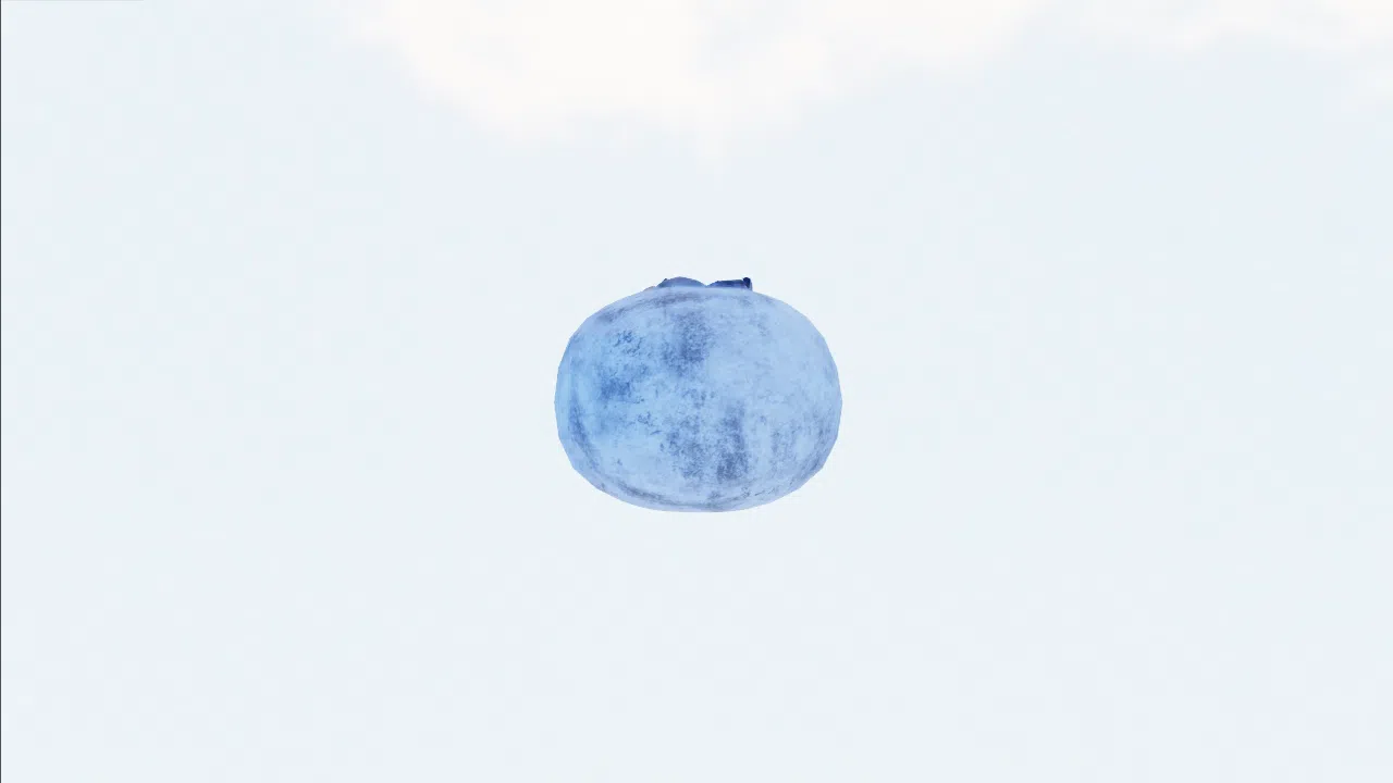 blueberry-pfapuv photo