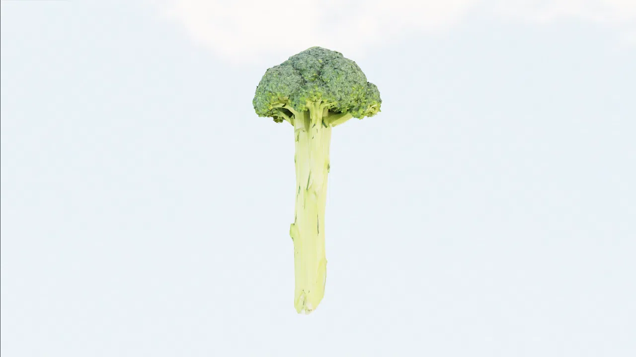 broccolini-rlsytp photo