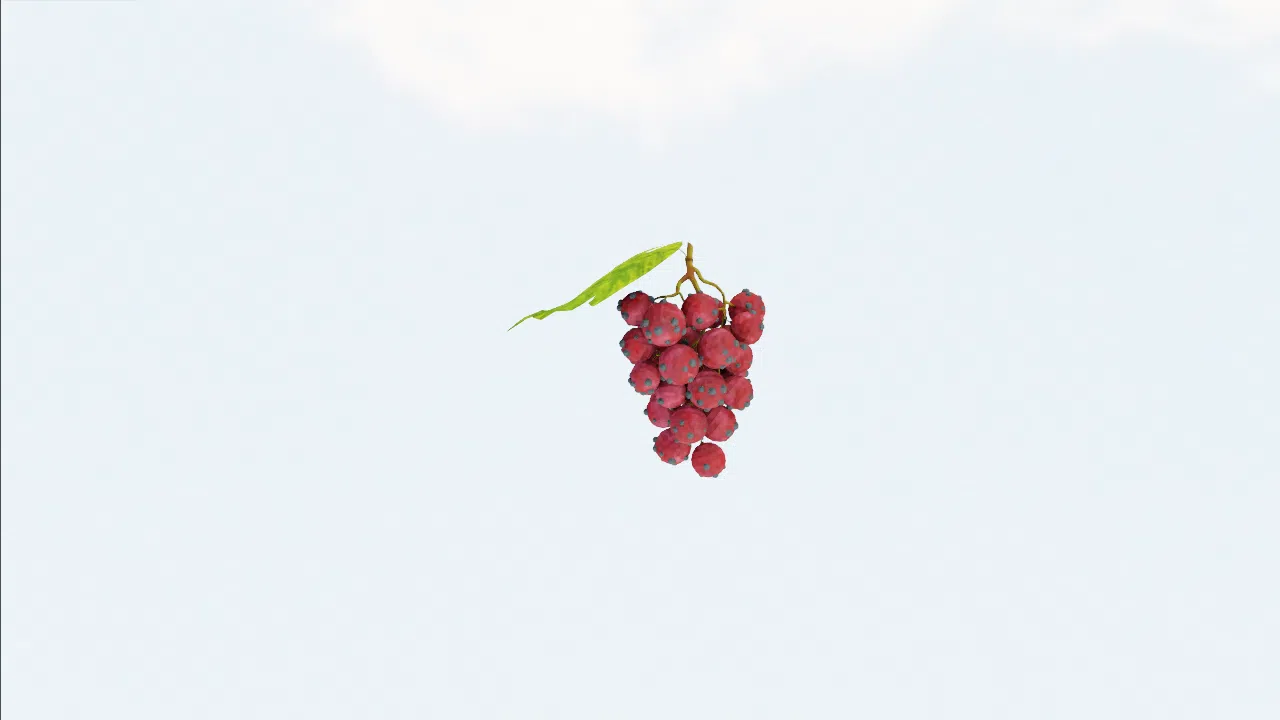 grape-snjrhg photo