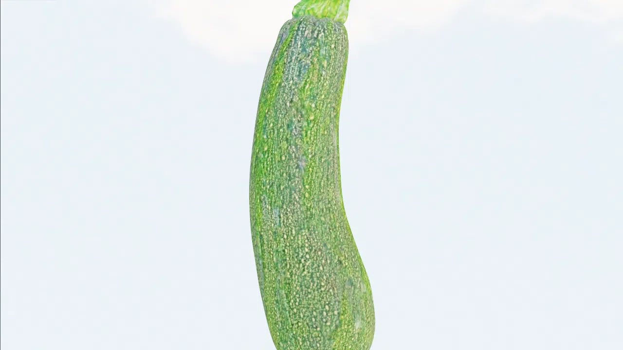 zucchini-udvfaz photo