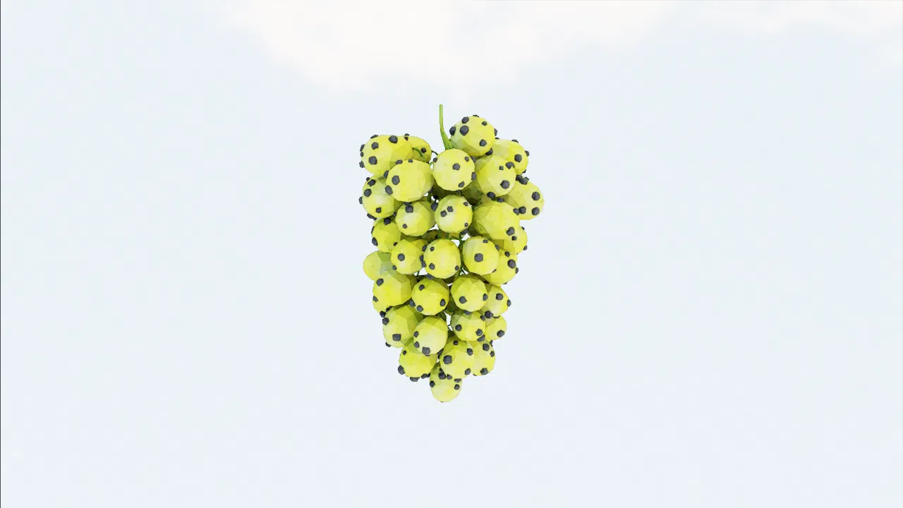 grape-uprbwp photo