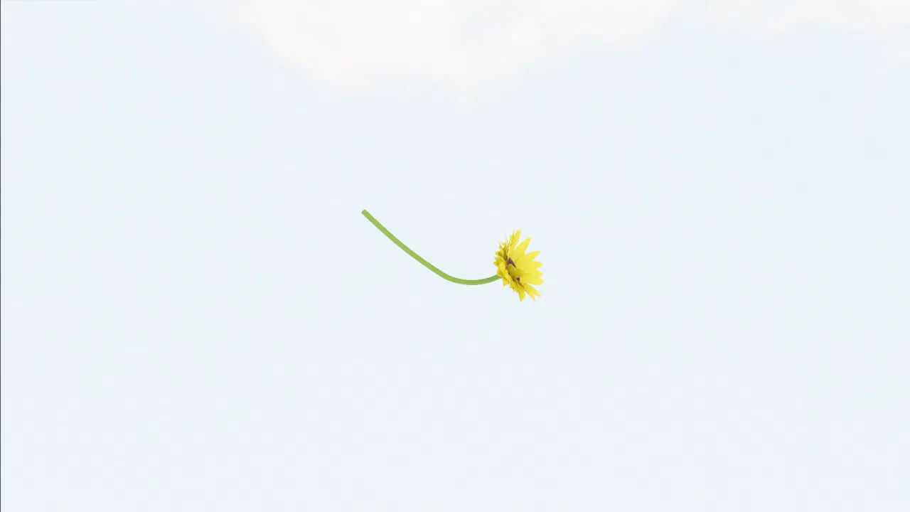 sunflower-urpskm photo