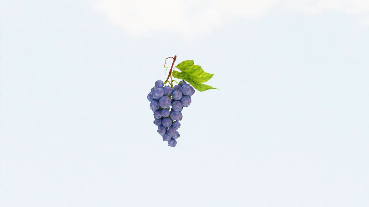 grape-venbog photo