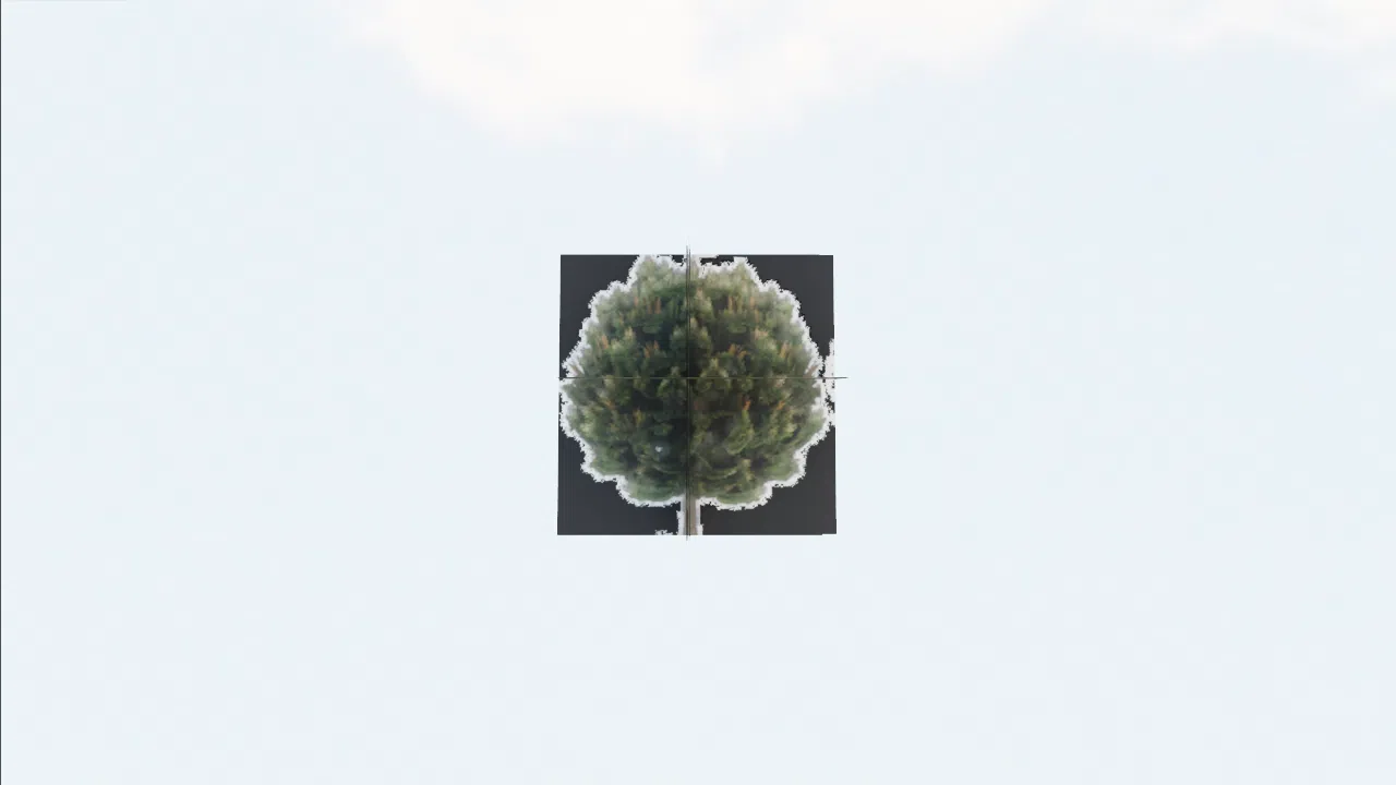 low_resolution_tree-vpbrij photo
