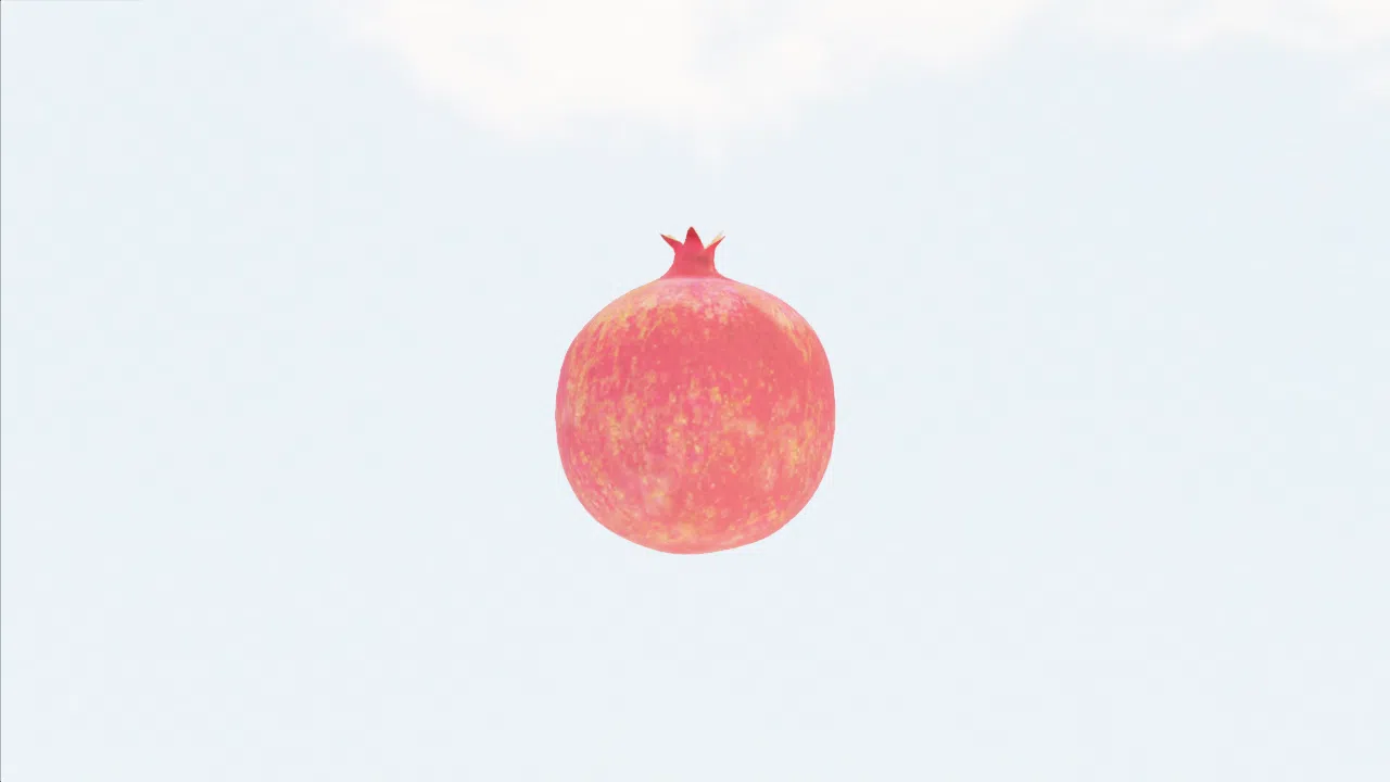 half_pomegranate-vqybii photo