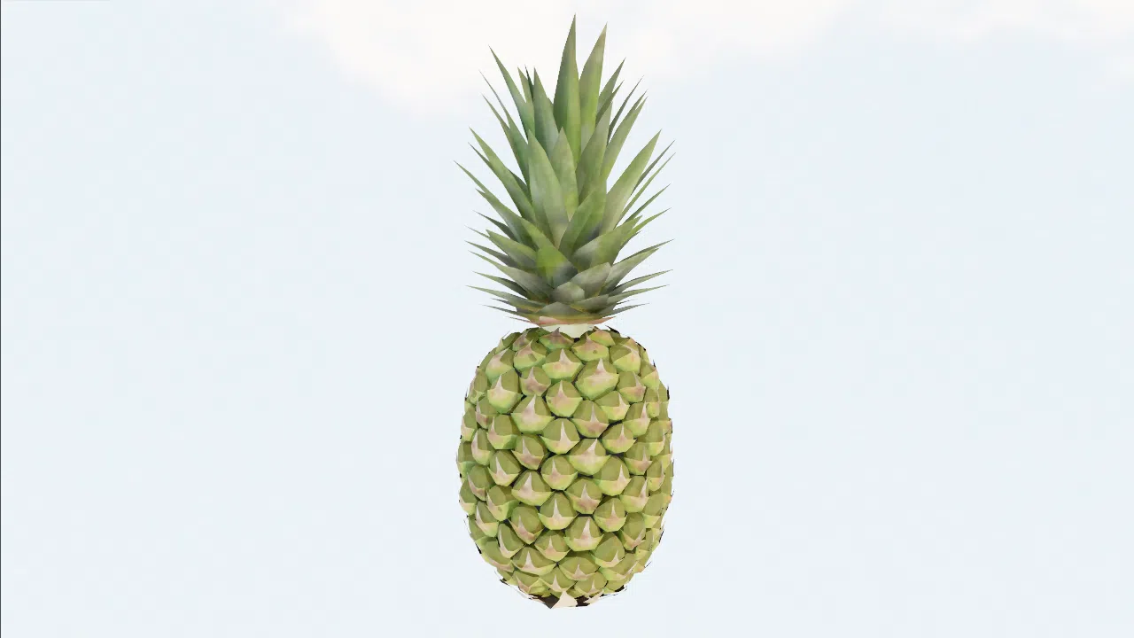 pineapple-wfaybl photo