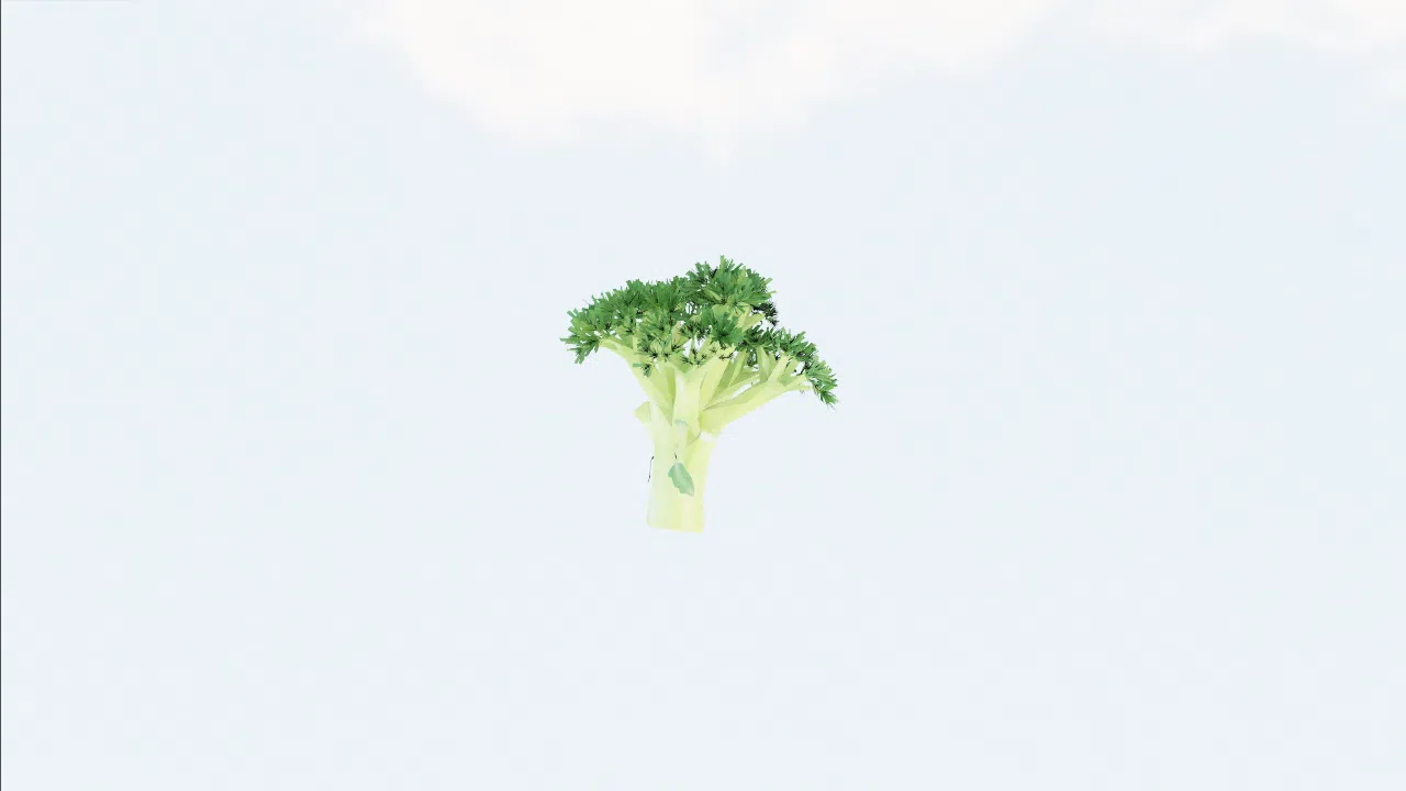broccoli-wsxavx photo
