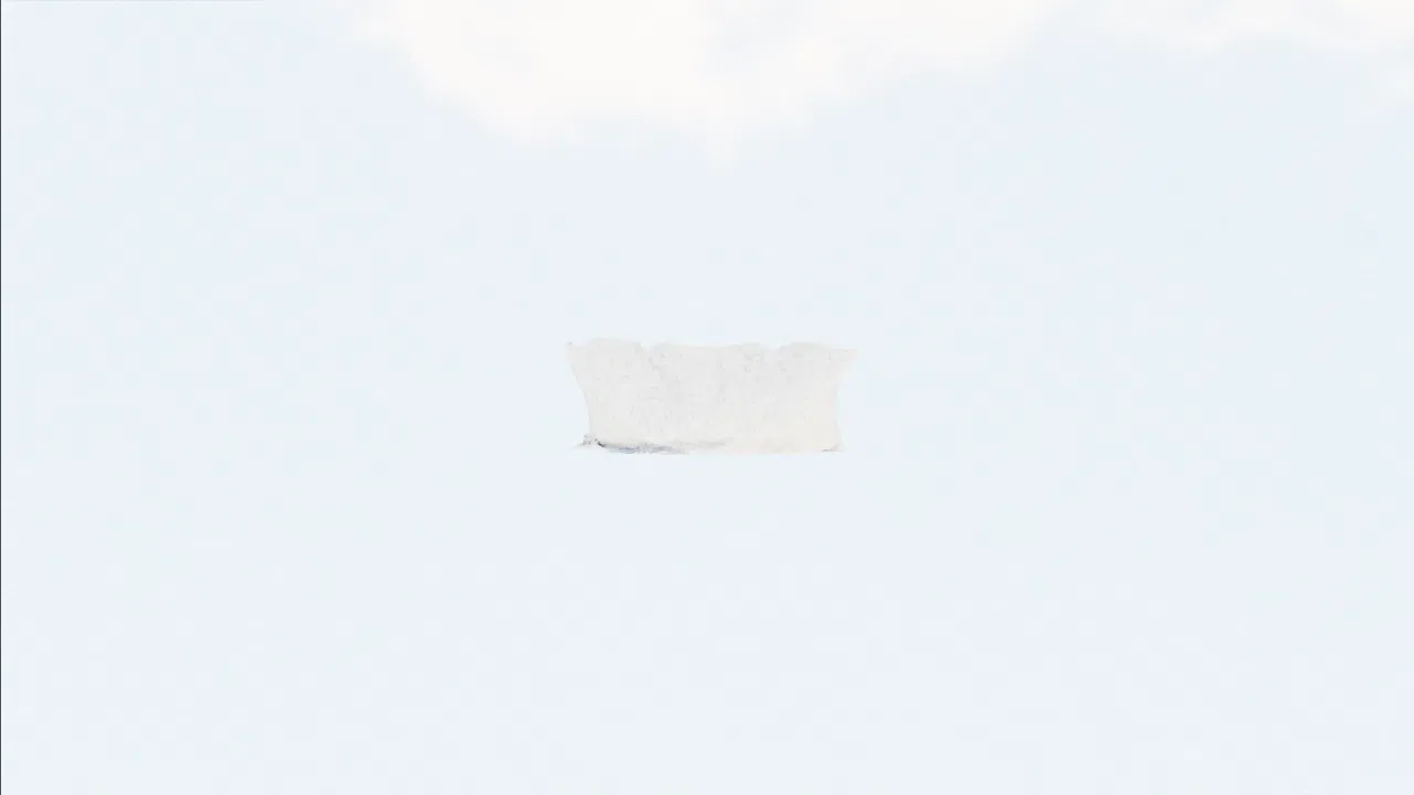 pillowcase-yakvci photo