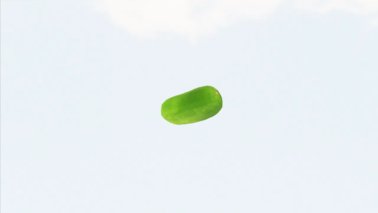 zucchini-yhhkxf photo
