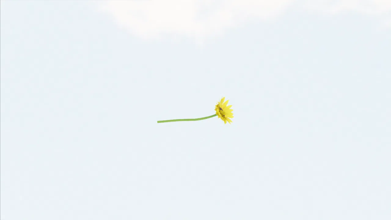 sunflower-zdmbjt photo