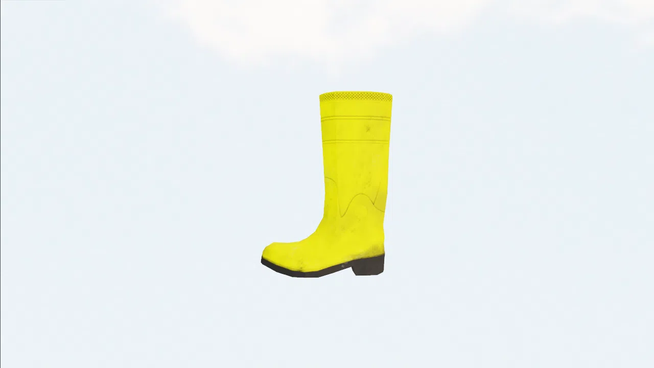 rubber_boot-zzwsnw photo